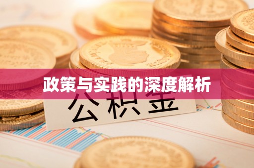 辽源政策与实践的深度解析