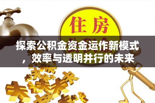 辽源探索公积金资金运作新模式，效率与透明并行的未来