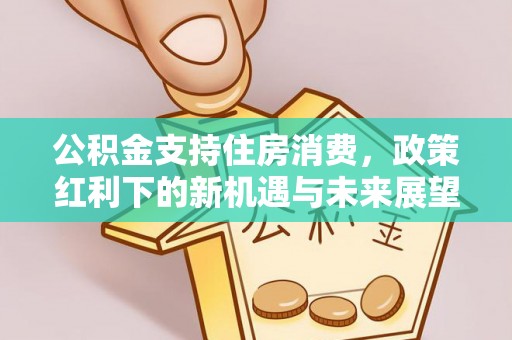 辽源公积金支持住房消费，政策红利下的新机遇与未来展望