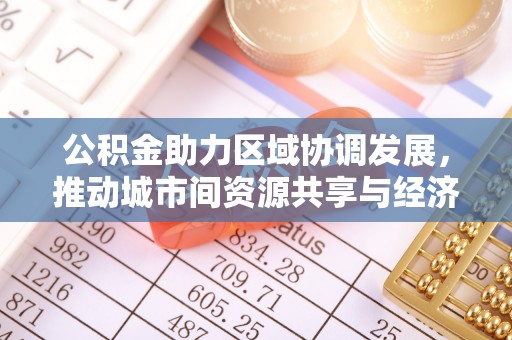 辽源公积金助力区域协调发展，推动城市间资源共享与经济均衡发展