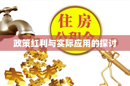辽源政策红利与实际应用的探讨