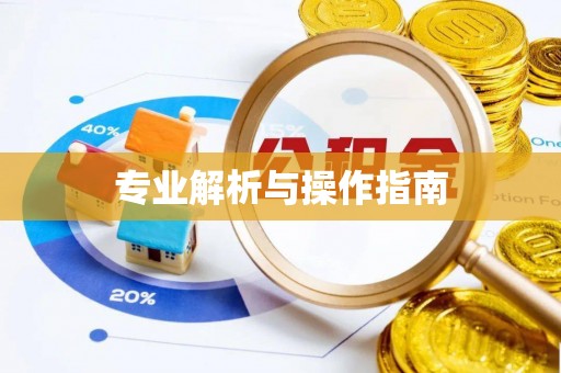 辽源专业解析与操作指南
