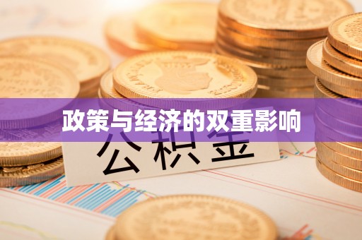 辽源政策与经济的双重影响