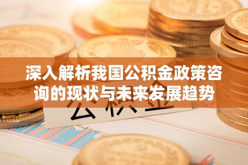 辽源深入解析我国公积金政策咨询的现状与未来发展趋势