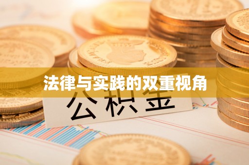 辽源法律与实践的双重视角