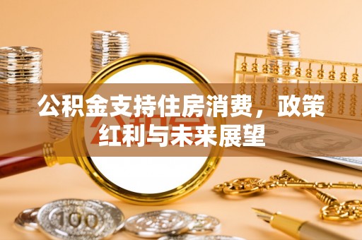 辽源公积金支持住房消费，政策红利与未来展望