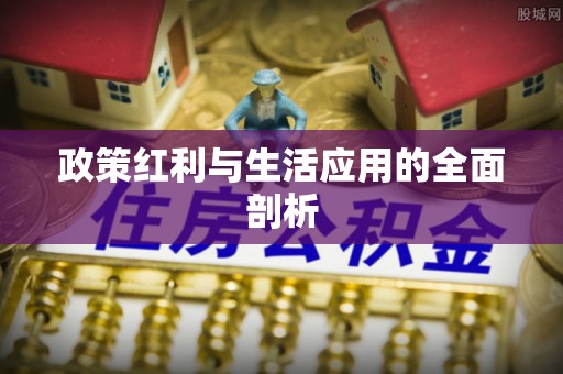 辽源政策红利与生活应用的全面剖析