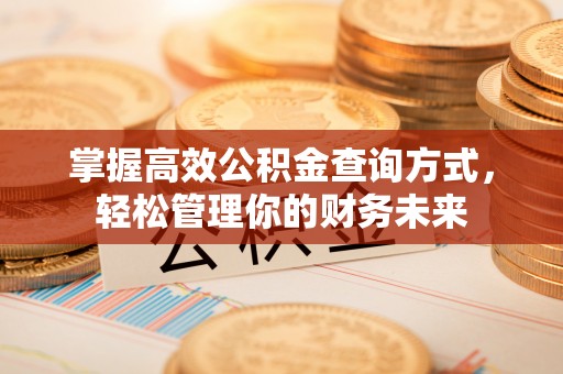 辽源掌握高效公积金查询方式，轻松管理你的财务未来