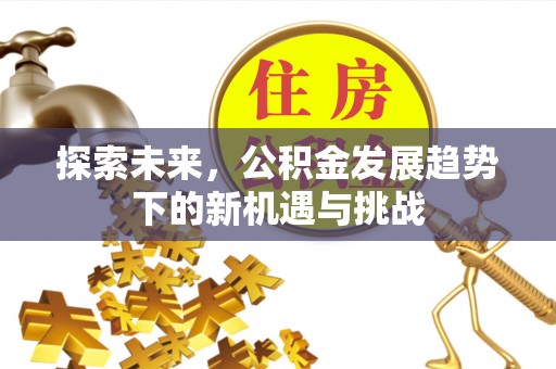 辽源探索未来，公积金发展趋势下的新机遇与挑战