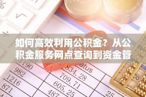 辽源如何高效利用公积金？从公积金服务网点查询到资金管理全攻略