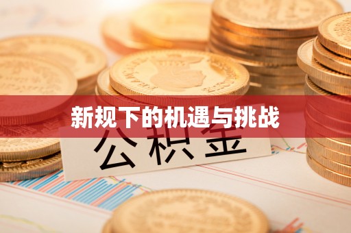 辽源新规下的机遇与挑战