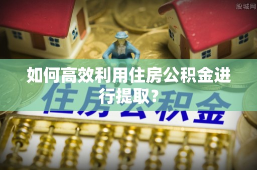 辽源如何高效利用住房公积金进行提取？