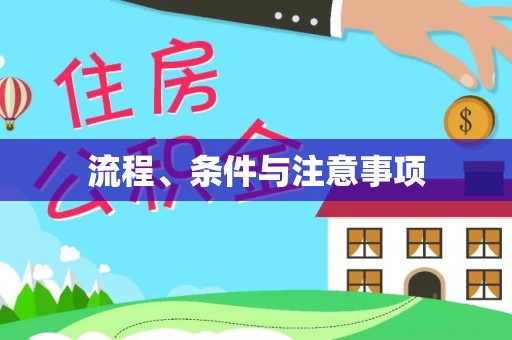 辽源流程、条件与注意事项